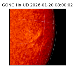 gong - 2026-01-20T08:00:02