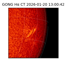 gong - 2026-01-20T13:00:42
