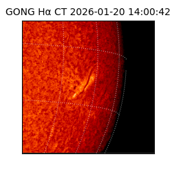 gong - 2026-01-20T14:00:42