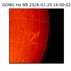 gong - 2026-01-20T16:00:02