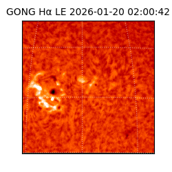 gong - 2026-01-20T02:00:42