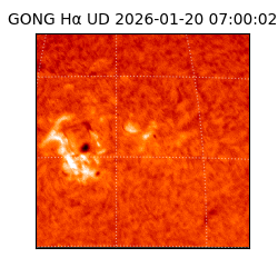 gong - 2026-01-20T07:00:02