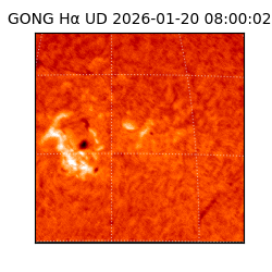 gong - 2026-01-20T08:00:02