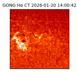 gong - 2026-01-20T14:00:42