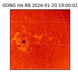 gong - 2026-01-20T19:00:02