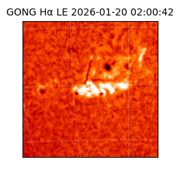 gong - 2026-01-20T02:00:42