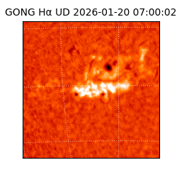 gong - 2026-01-20T07:00:02