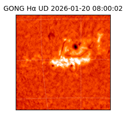 gong - 2026-01-20T08:00:02