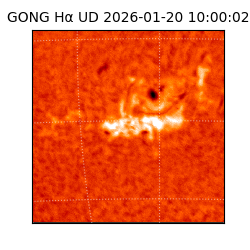 gong - 2026-01-20T10:00:02