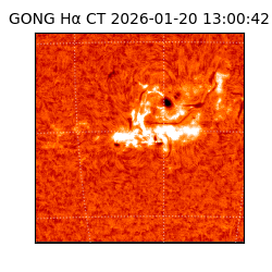 gong - 2026-01-20T13:00:42