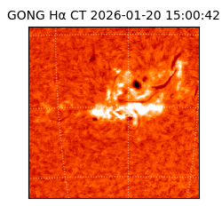 gong - 2026-01-20T15:00:42