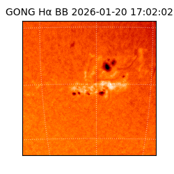 gong - 2026-01-20T17:02:02