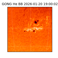 gong - 2026-01-20T19:00:02