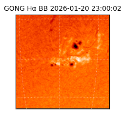 gong - 2026-01-20T23:00:02