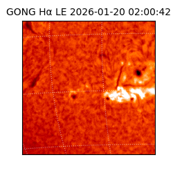 gong - 2026-01-20T02:00:42