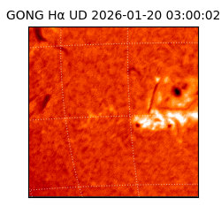 gong - 2026-01-20T03:00:02