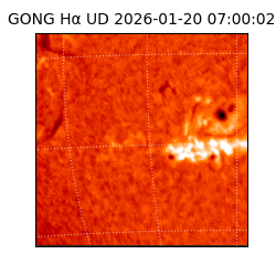 gong - 2026-01-20T07:00:02