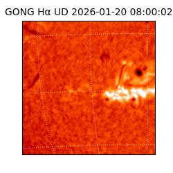 gong - 2026-01-20T08:00:02