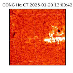 gong - 2026-01-20T13:00:42
