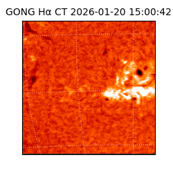 gong - 2026-01-20T15:00:42