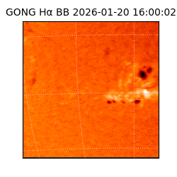 gong - 2026-01-20T16:00:02