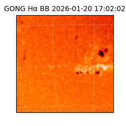 gong - 2026-01-20T17:02:02