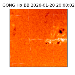 gong - 2026-01-20T20:00:02