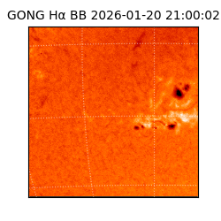 gong - 2026-01-20T21:00:02