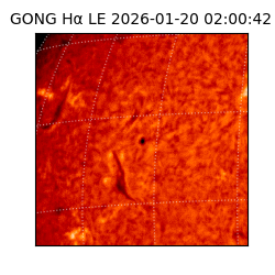 gong - 2026-01-20T02:00:42