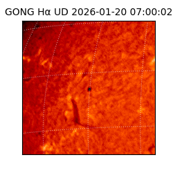 gong - 2026-01-20T07:00:02