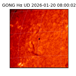 gong - 2026-01-20T08:00:02