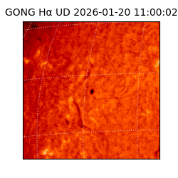 gong - 2026-01-20T11:00:02