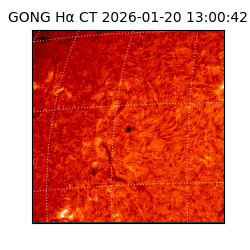 gong - 2026-01-20T13:00:42