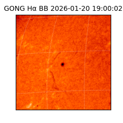 gong - 2026-01-20T19:00:02