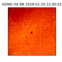 gong - 2026-01-20T22:00:02