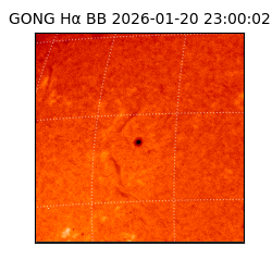 gong - 2026-01-20T23:00:02