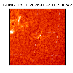 gong - 2026-01-20T02:00:42