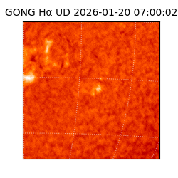 gong - 2026-01-20T07:00:02