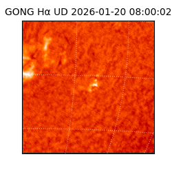 gong - 2026-01-20T08:00:02