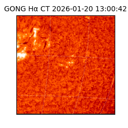 gong - 2026-01-20T13:00:42