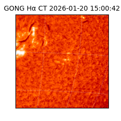 gong - 2026-01-20T15:00:42