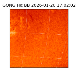 gong - 2026-01-20T17:02:02