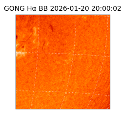 gong - 2026-01-20T20:00:02