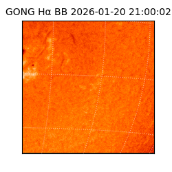 gong - 2026-01-20T21:00:02