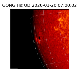 gong - 2026-01-20T07:00:02