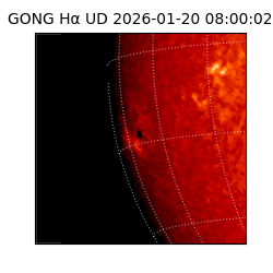 gong - 2026-01-20T08:00:02
