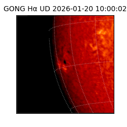 gong - 2026-01-20T10:00:02