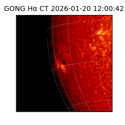 gong - 2026-01-20T12:00:42