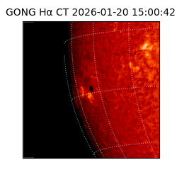 gong - 2026-01-20T15:00:42