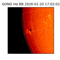 gong - 2026-01-20T17:02:02